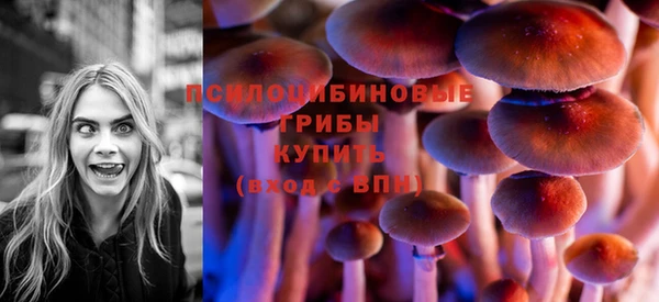 дурь Володарск
