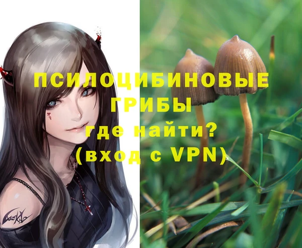 дурь Володарск